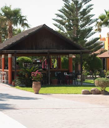 ALL DIESER SPAß BRAUCHT ETWAS ENERGIE